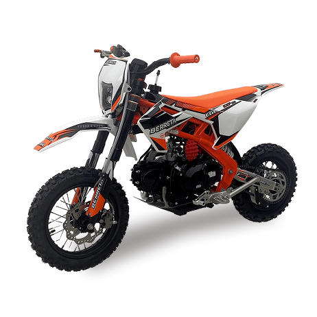 CROSS BERRETA EGL 110cc